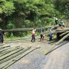 bamboo pole