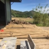 bamboo pole