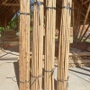 bamboo pole