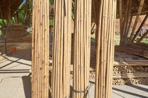 bamboo pole