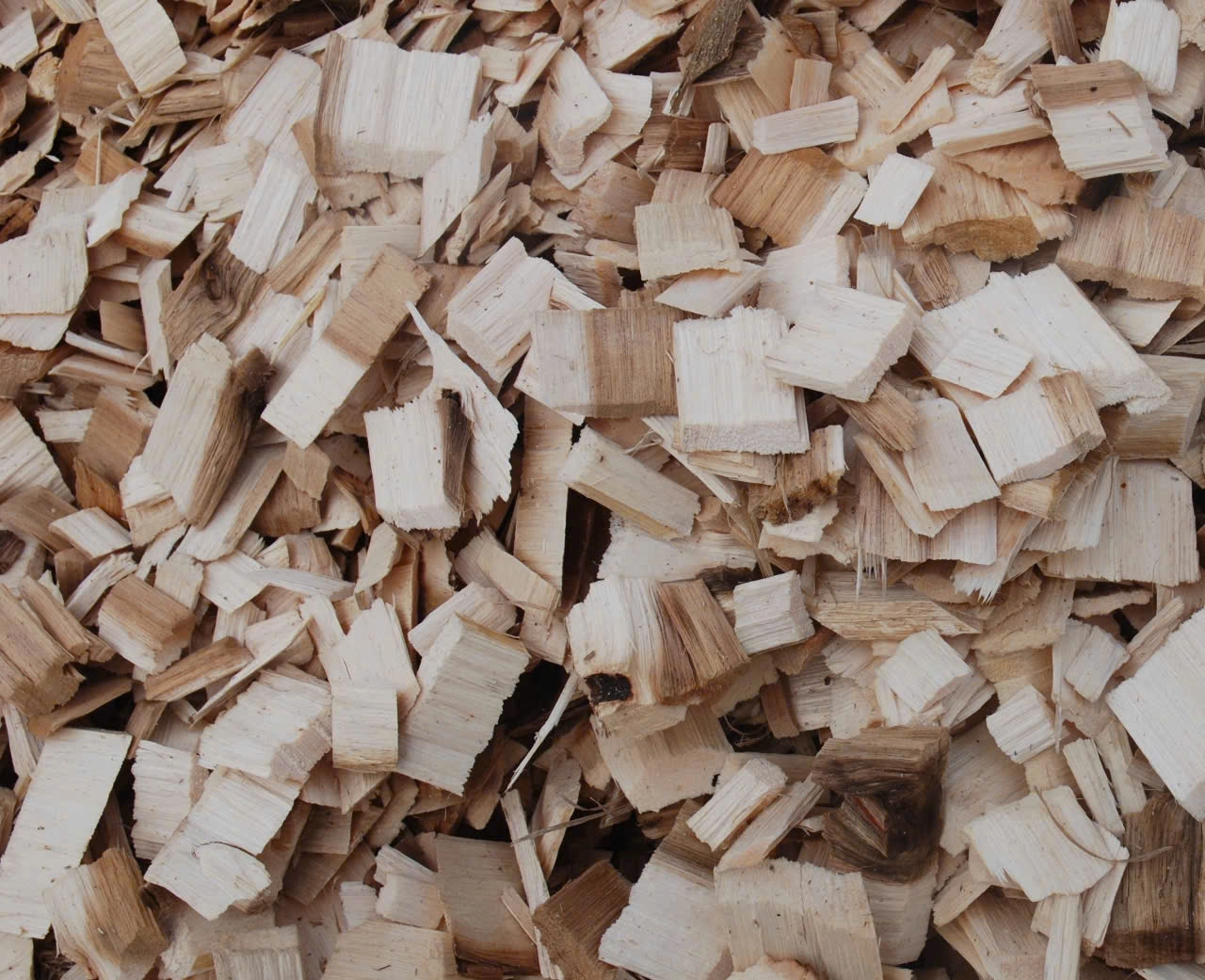 eucalyptus wood chips