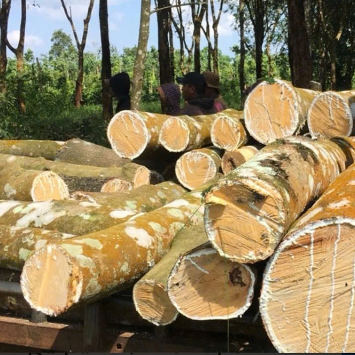 Rubber Wood